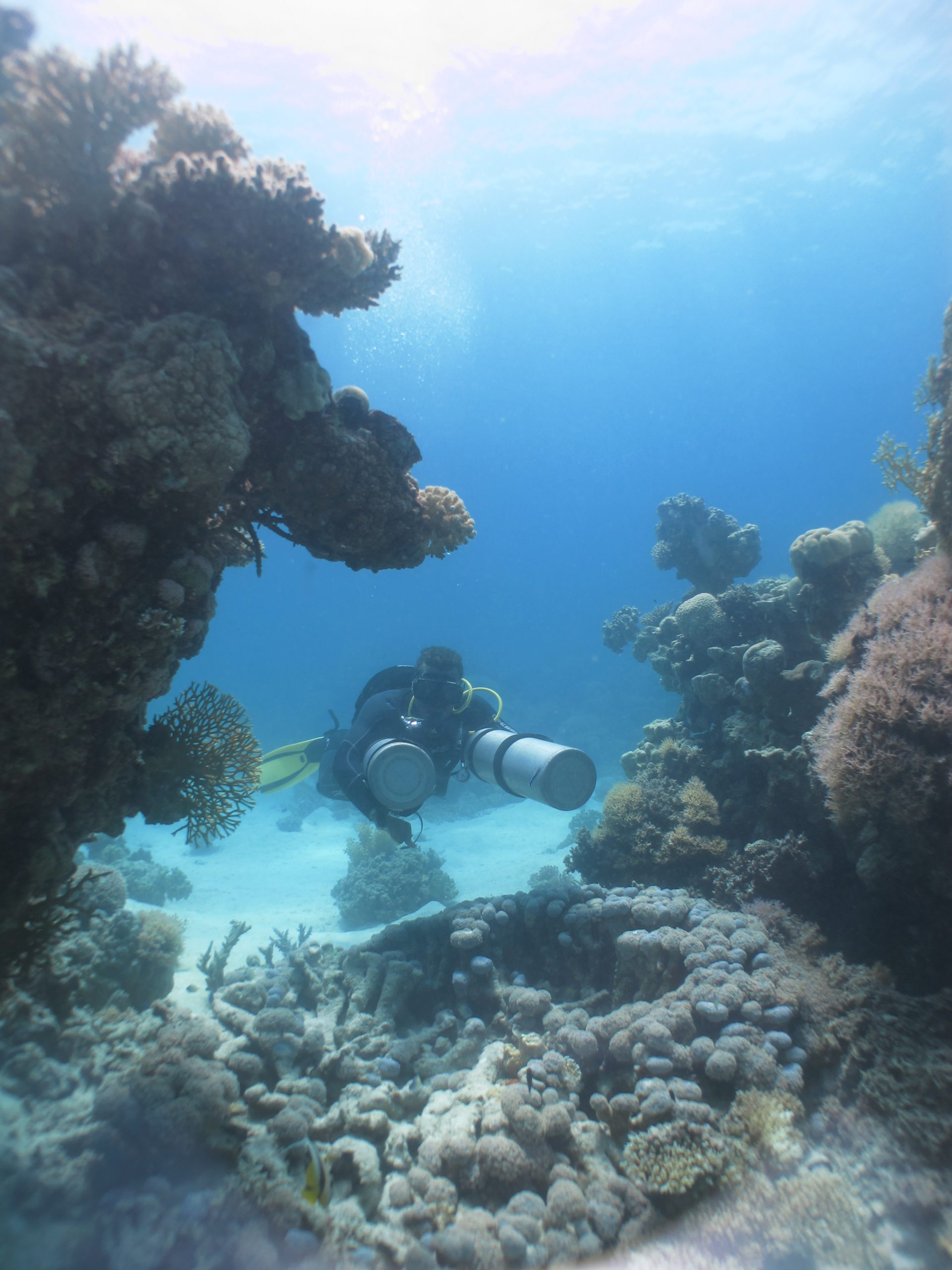 Seagate-Hurghada-Duiken-Scuba-Diving-Padi-Sidemount-cursus-Divingcourse
